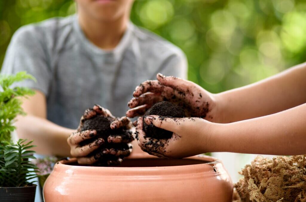 Maak je eigen meststof: Instructies voor het maken van uw eigen plantenmest