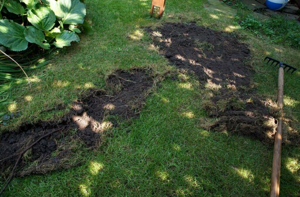 Onderhoud en reparatie van gazons: Alternatieven voor gazonrenovatie