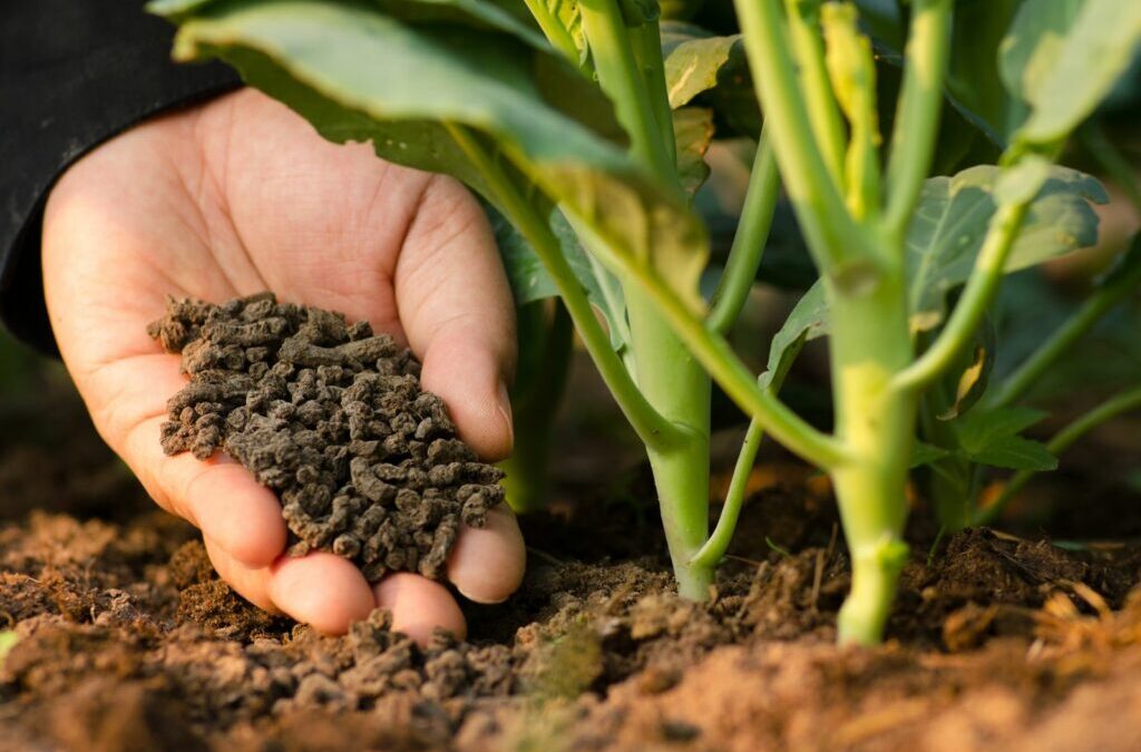Organische minerale meststof: eigenschappen en effect