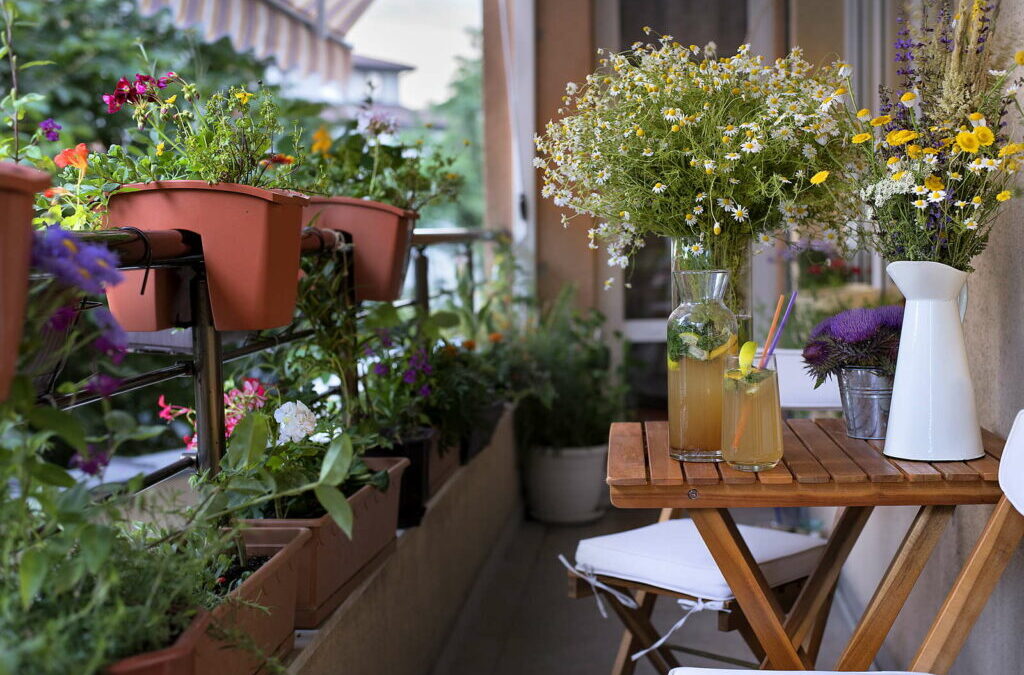 Schaduwrijk balkon: De 10 beste planten voor schaduwrijke locaties