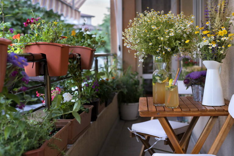 Schaduwrijk balkon: De 10 beste planten voor schaduwrijke locaties