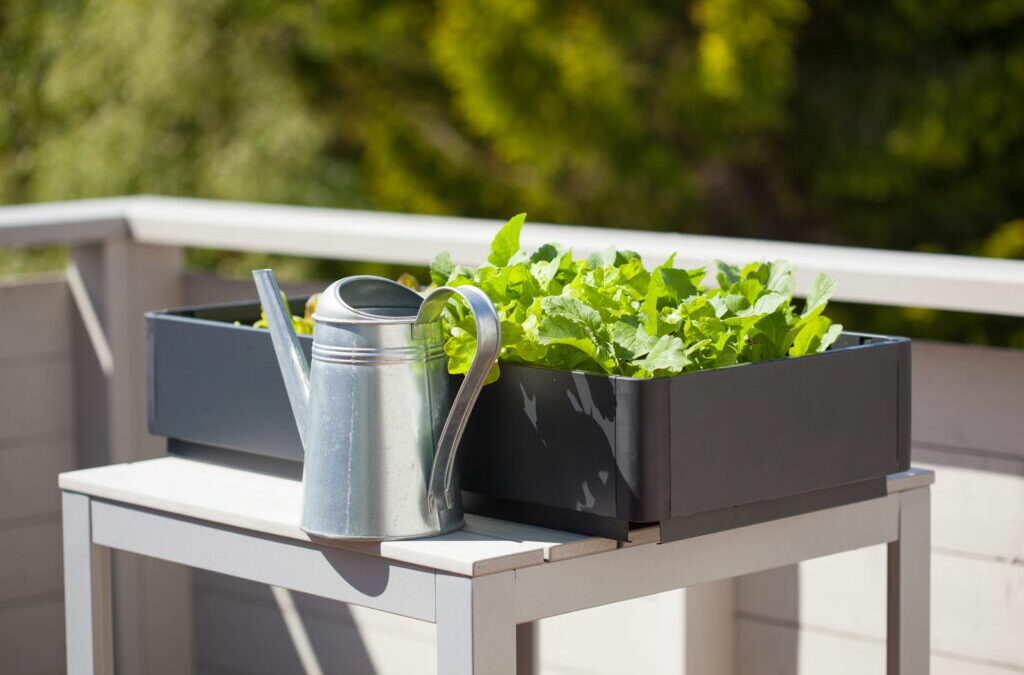Self-catering balkon: welke plant voor welk balkon?