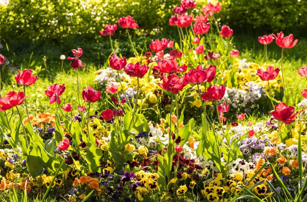 Tuinieren in april: alles op een rijtje!