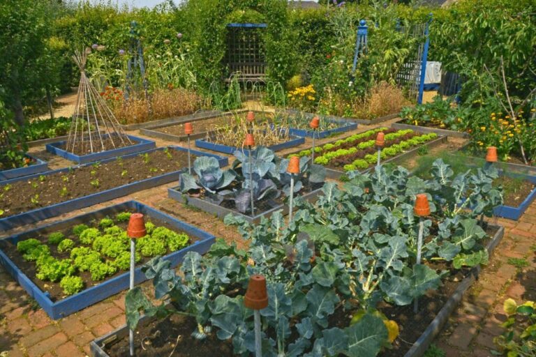 Tuinieren in augustus: alles op een rijtje!