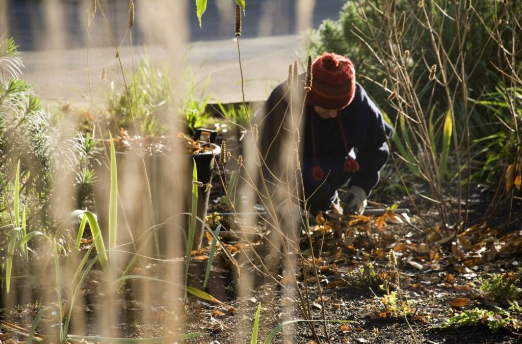 Tuinieren in februari: alles op een rijtje!