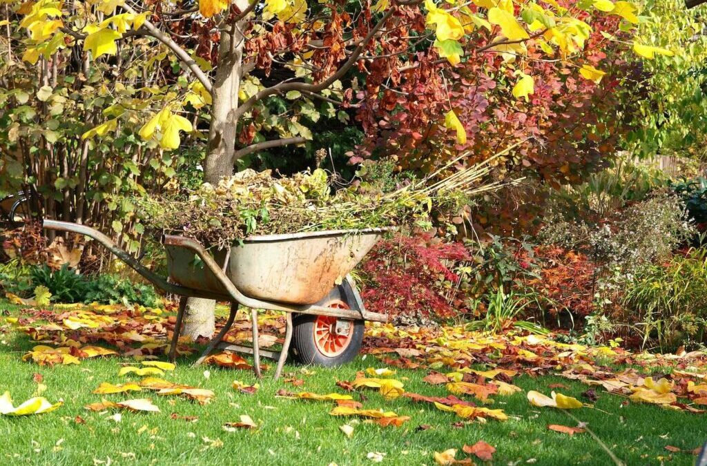 Tuinieren in oktober: alles op een rijtje!