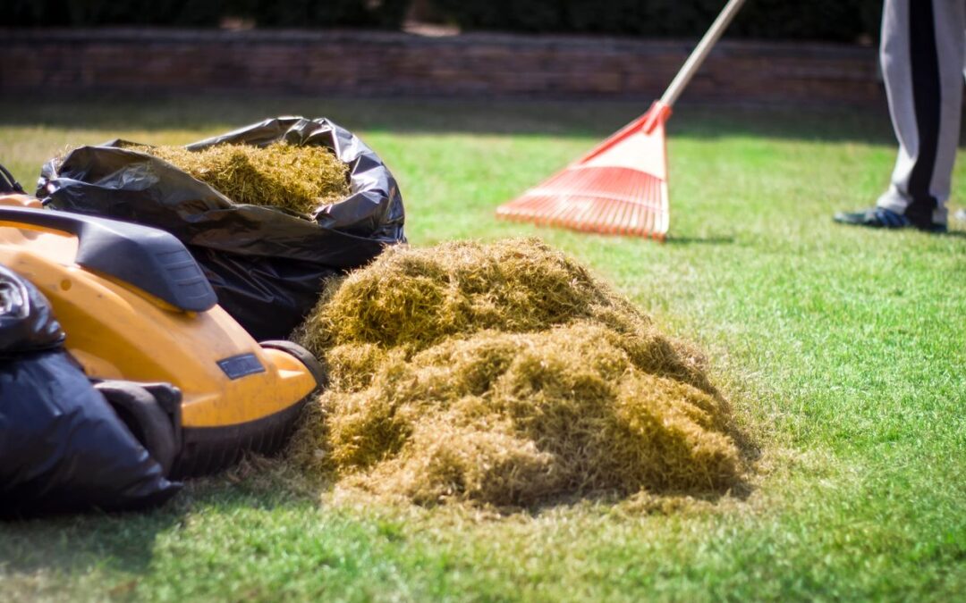 Uw gazon goedkoop en zonder spitten vernieuwen? Dit kan ook zonder graszoden!