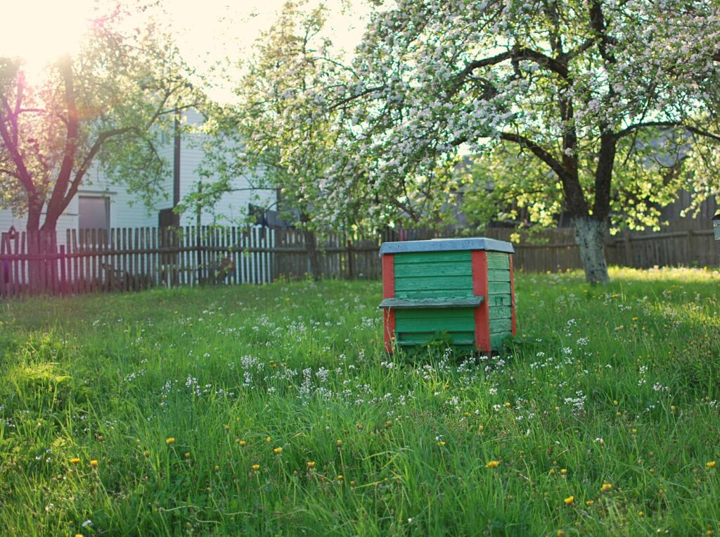 Een bijenkorf in de groene tuin