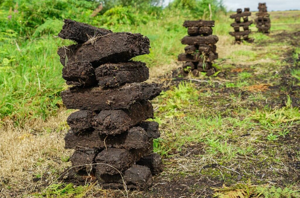 Wat is turf? Alles over de vorming en het gebruik in de tuin