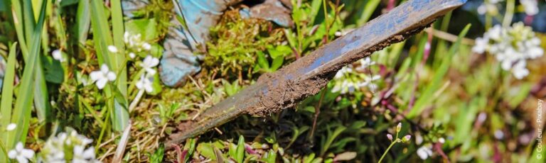 Tips voor gazononderhoud in de herfst