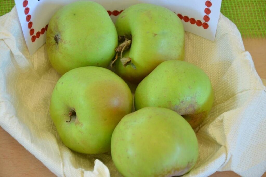 Appels van de variëteit Canada aronskelk in een kom