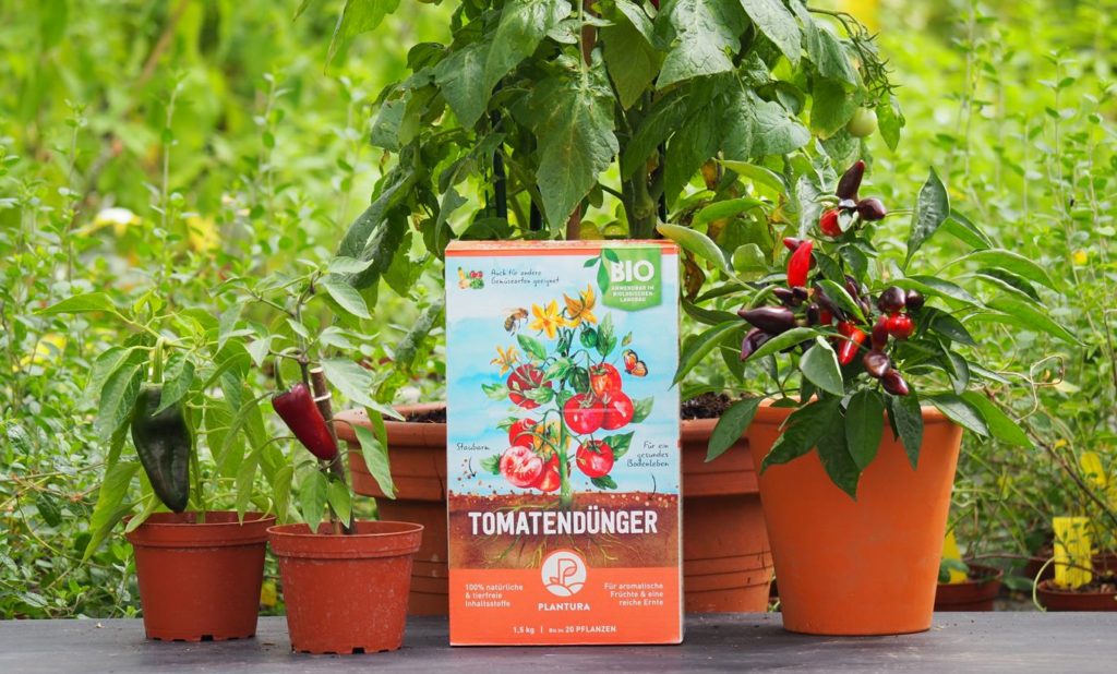Mestbak met tomatenplanten
