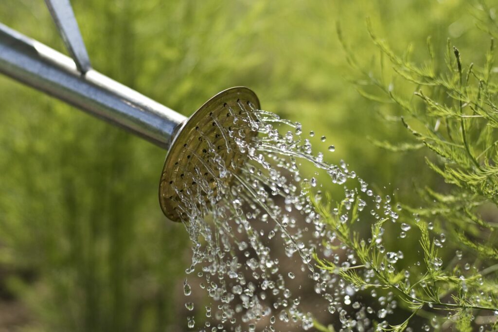 Vloeibare meststof in het irrigatiewater