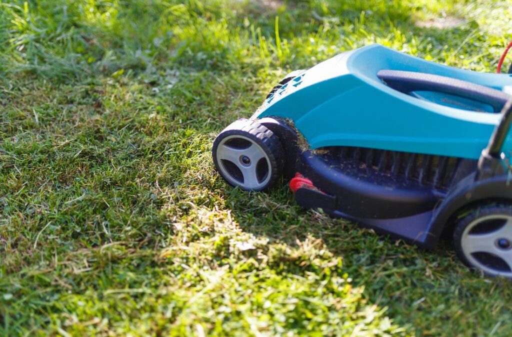 Verticuteer het gazon: Waarom, wanneer en hoe vaak?