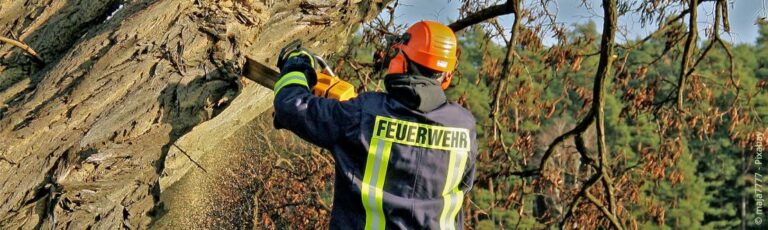 Kettingzaagvergunning: Alles over rechten en kosten