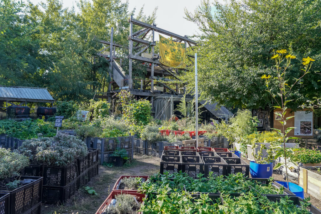 Stedelijk tuinieren in de Prinzessinengarten