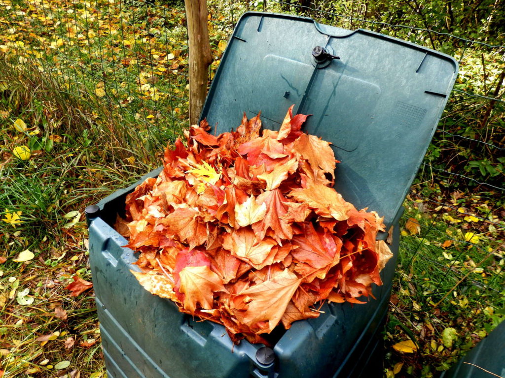 Verzamelde bladeren in compost