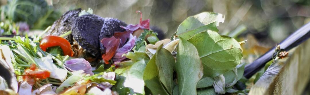 Maak uw eigen natuurlijke meststof van compost