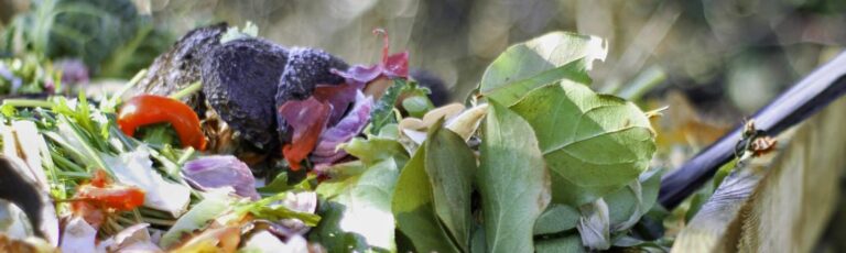Maak uw eigen natuurlijke meststof van compost