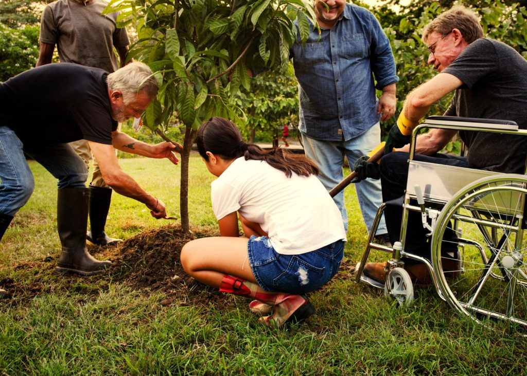 Groep mensen plant een boom in de tuin