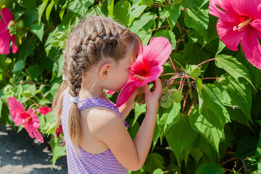 Meisje ruikt hibiscus