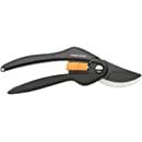 Pioenen: tips over standplaats, verzorging en snoeien