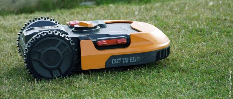 De belangrijkste tuinwerkzaamheden in de herfst