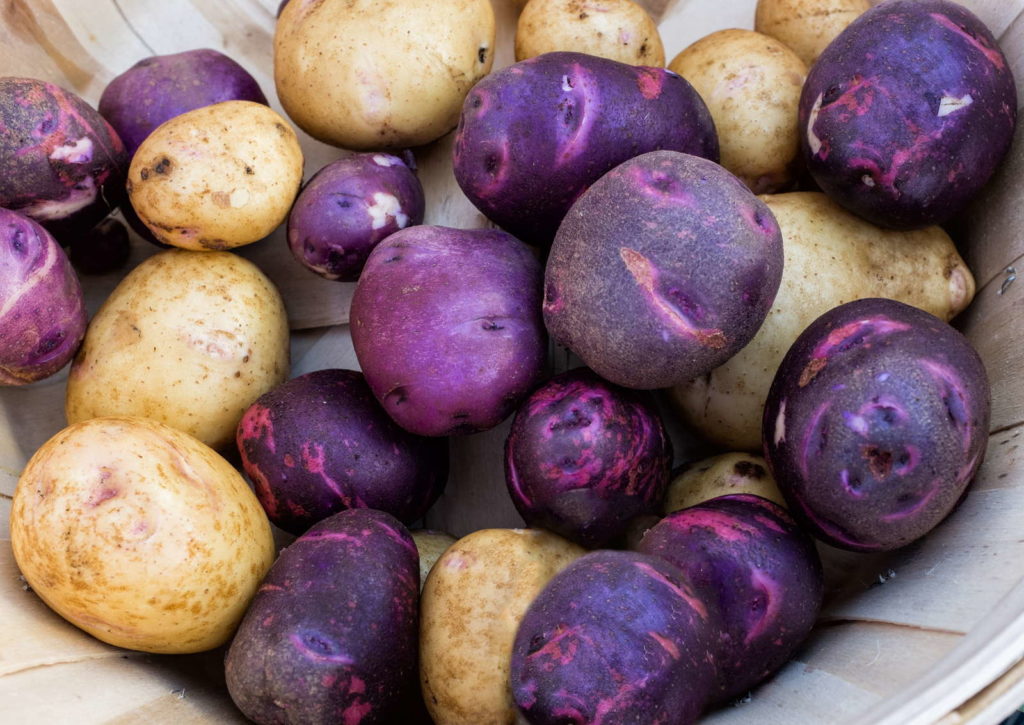 Paarse en bruine aardappelen
