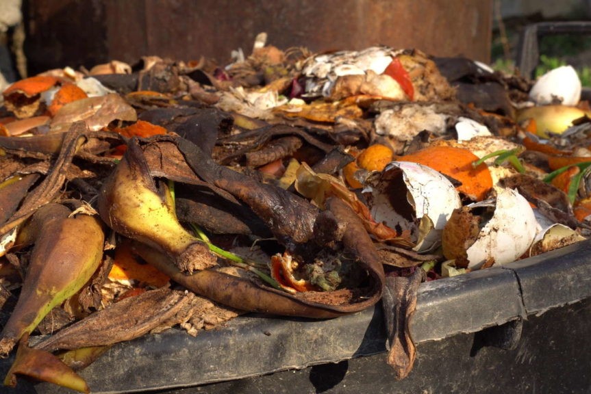 Groenterestjes rotten op compost