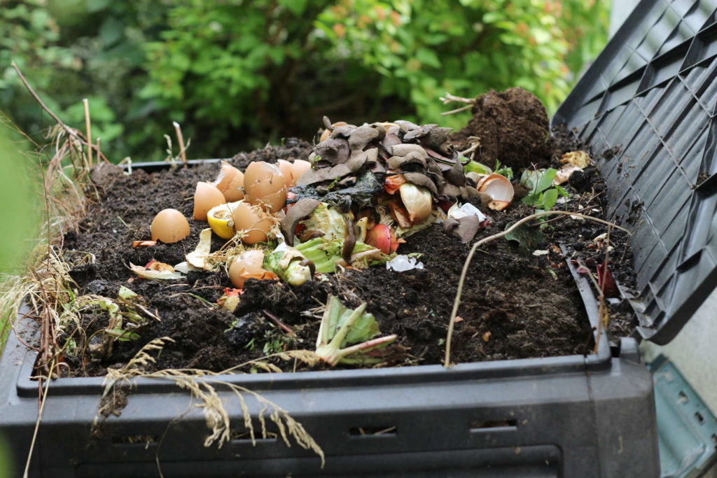 Compost in een zwarte compostbak in de tuin
