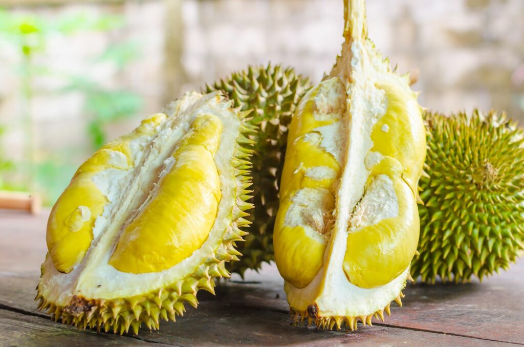 Durian of stinkvrucht
