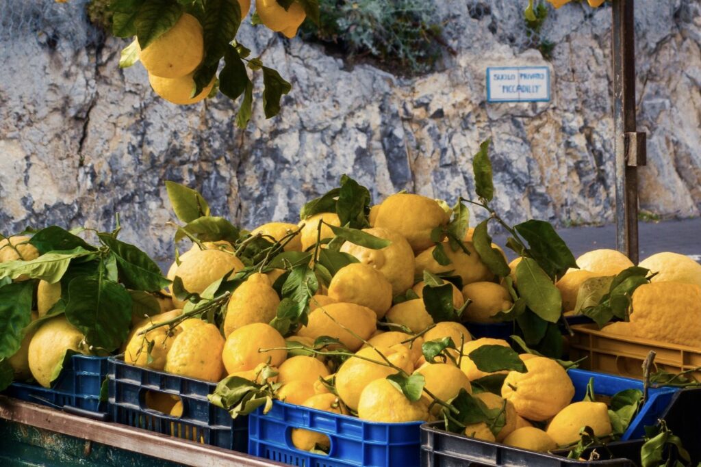 Amalfi citroenen te koop