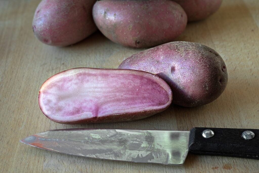 Roodvlezige aardappel 