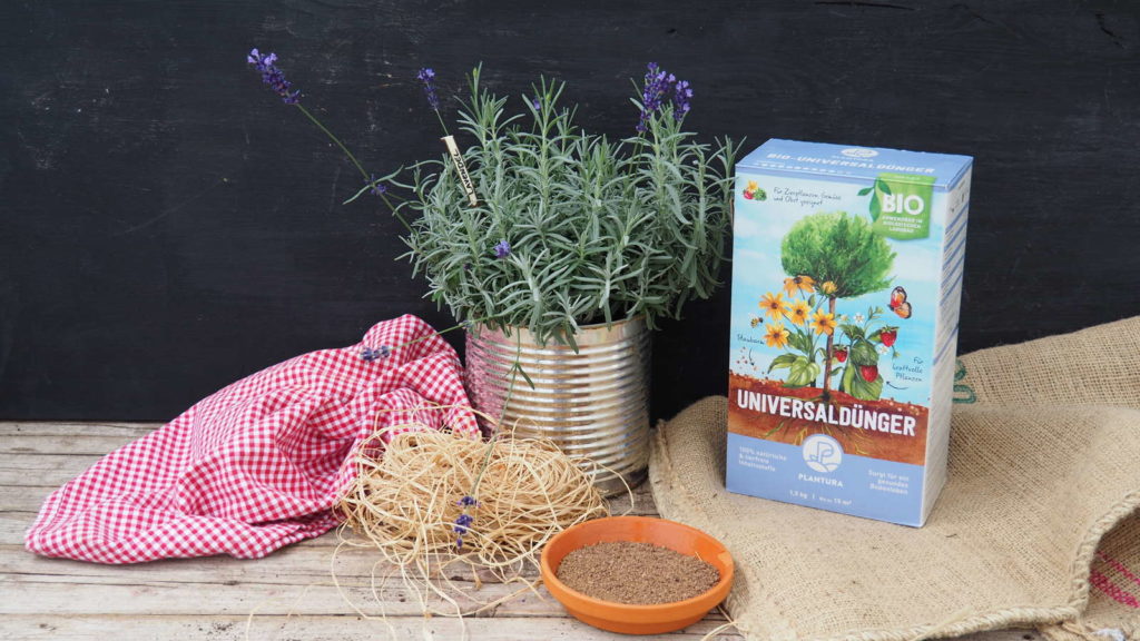 Plantura Organische universele meststof naast een lavendel in een pot