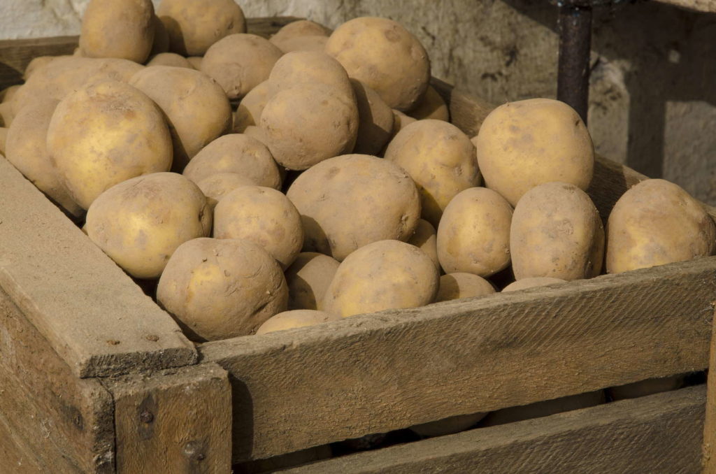 Aardappelen bewaren Houten kist Kelder