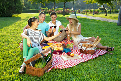 Vier vrienden proosten op een picknick in het park