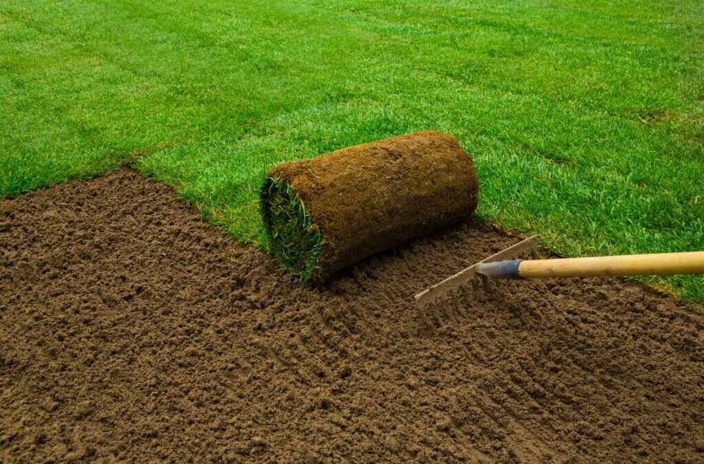 Bemesting van grasmatten: Timing, procedure & de juiste meststof