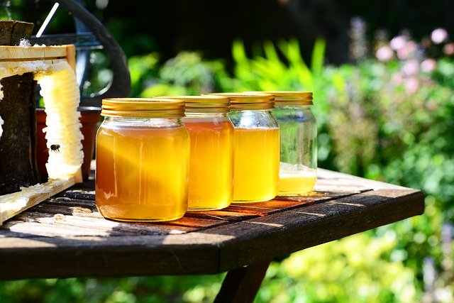 bijenvriendelijke planten honing