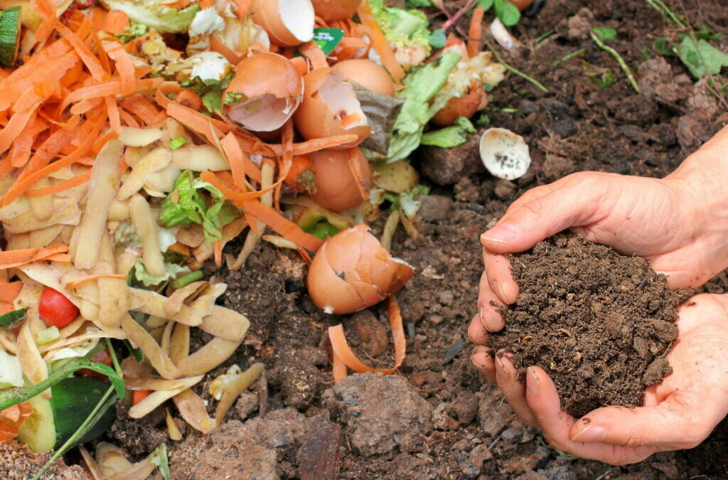 Compost: Alles van de juiste compostering tot het composttoilet