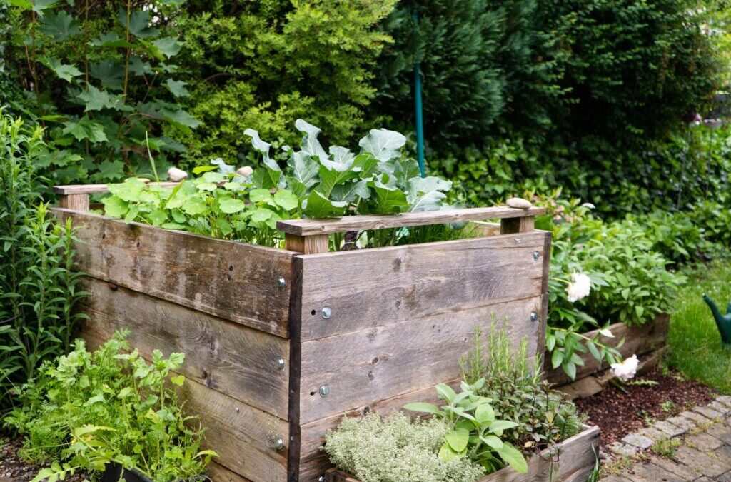 Een verhoogd bed beplanten: beplantingsplan, gemengde cultuur en groenbemesting