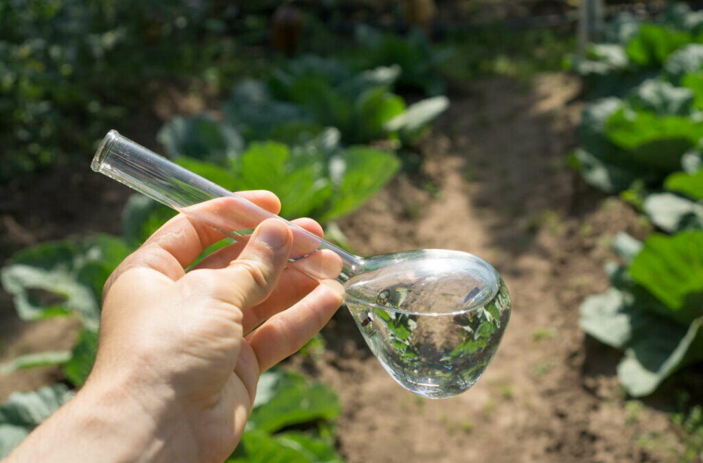 Giftige zware metalen in de tuin door kunstmest?