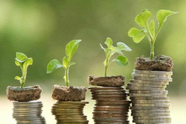 Goedkoop tuinieren: 10 tips voor zuinige tuiniers met groene vingers