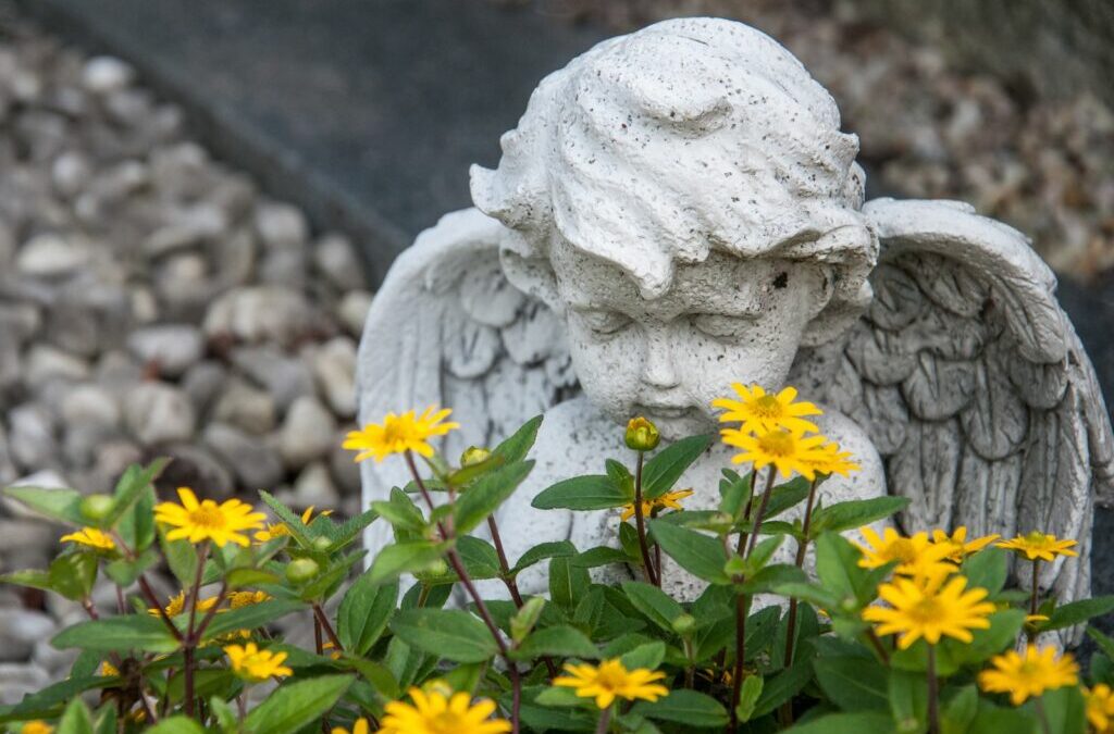 Grafbeplanting: Geschikte planten & voorbeelden voor het hele jaar