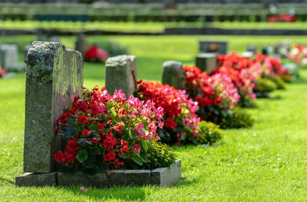 Grafbeplanting in de zomer: plantvoorbeelden & verzorgingstips
