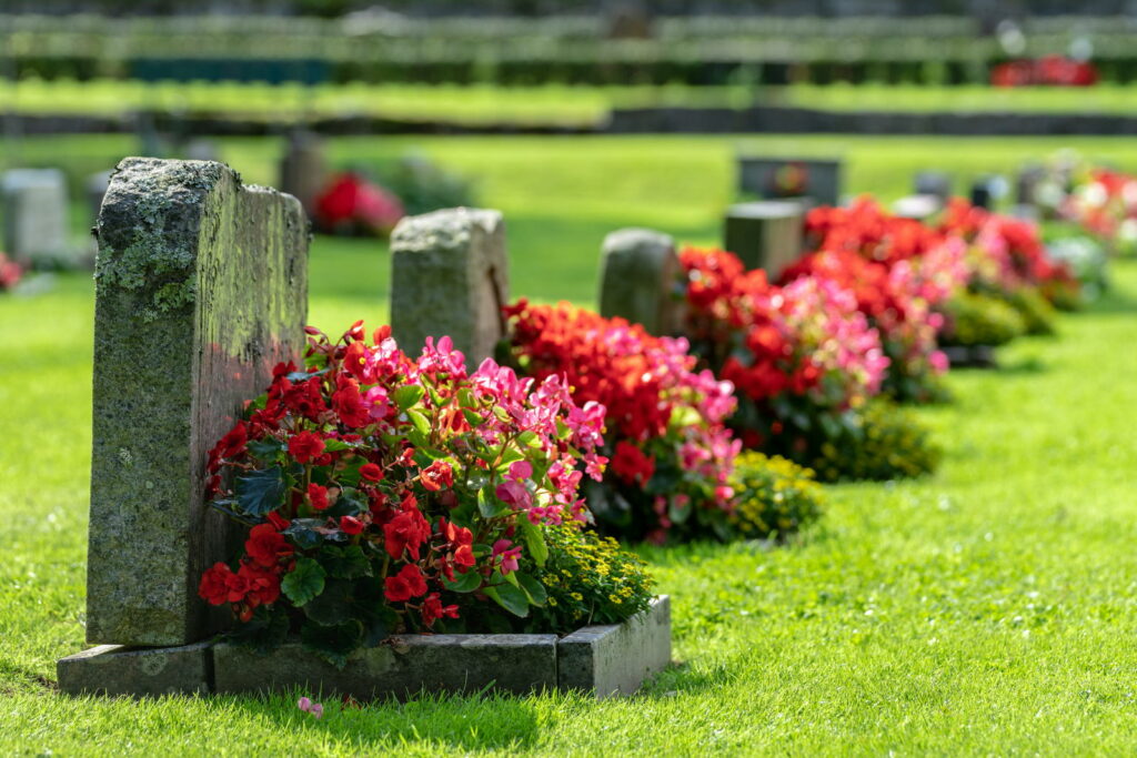 Bloemen op graven