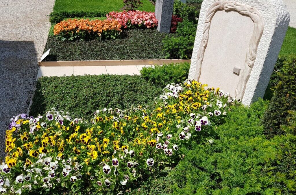Grafplanten: Voorbeelden van onderhoudsarme en groenblijvende planten