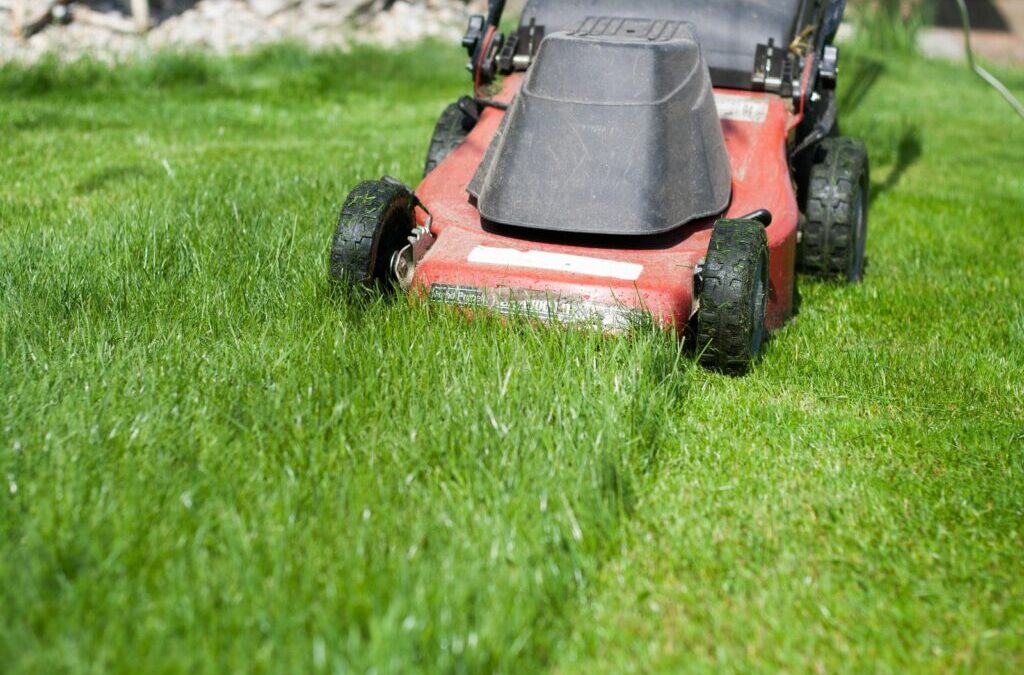 Grasmaaien: tips & trucs voor het maaien van het gazon