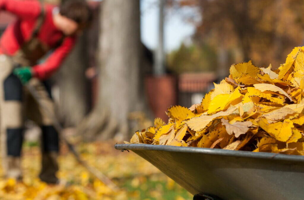 Herfstschoonmaak in de tuin: onze top 10 tips