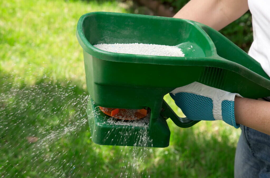 Het gazon bekalken: wanneer, hoe & tegelijkertijd bemesten?
