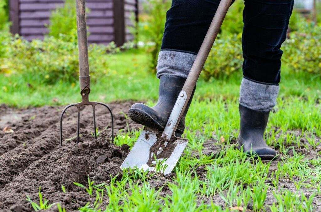 Humusvorming in de tuin: waarom het een positief effect heeft op het klimaat